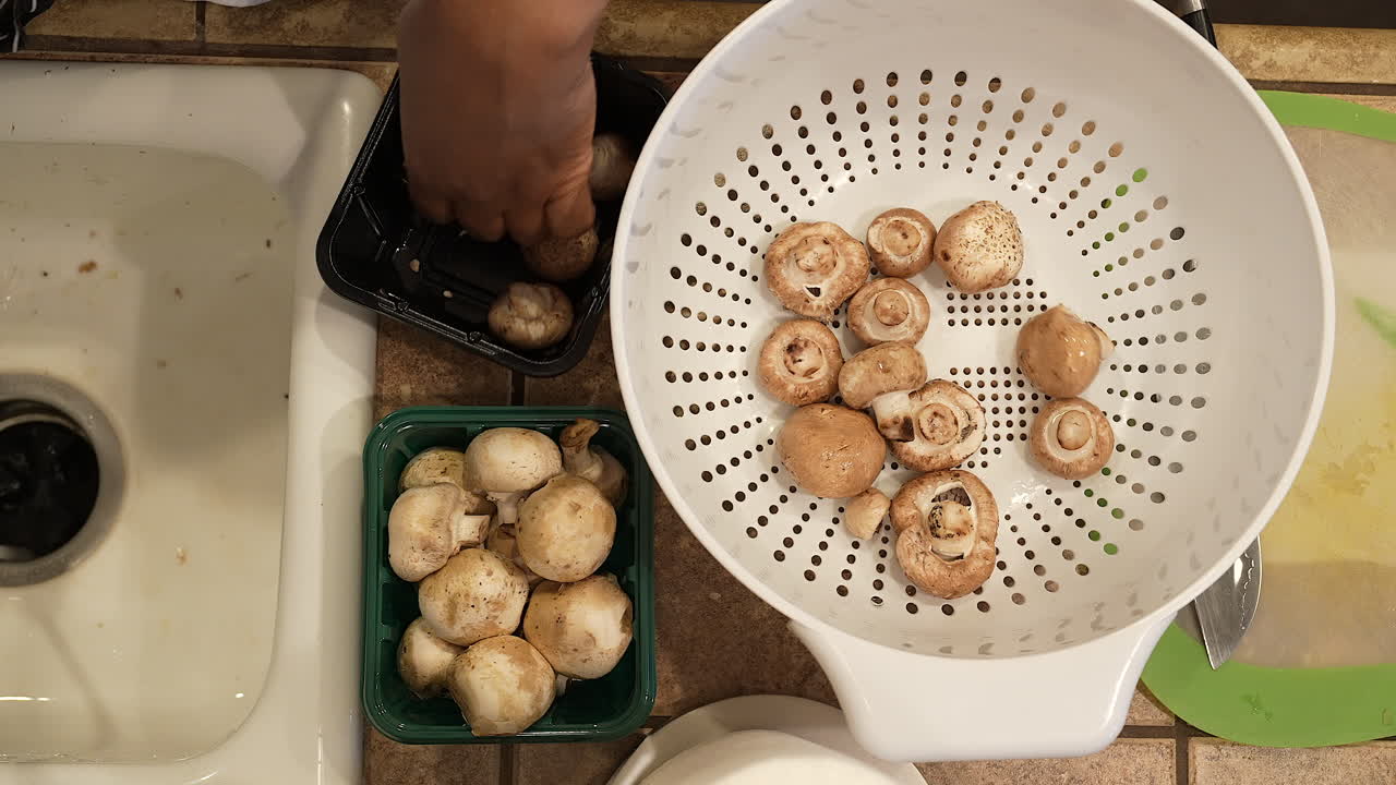 Washing organic cremini mushrooms in the kitchen sink to use in a vegetarian, vegan recipe - overhead view WILD RICE SERIES