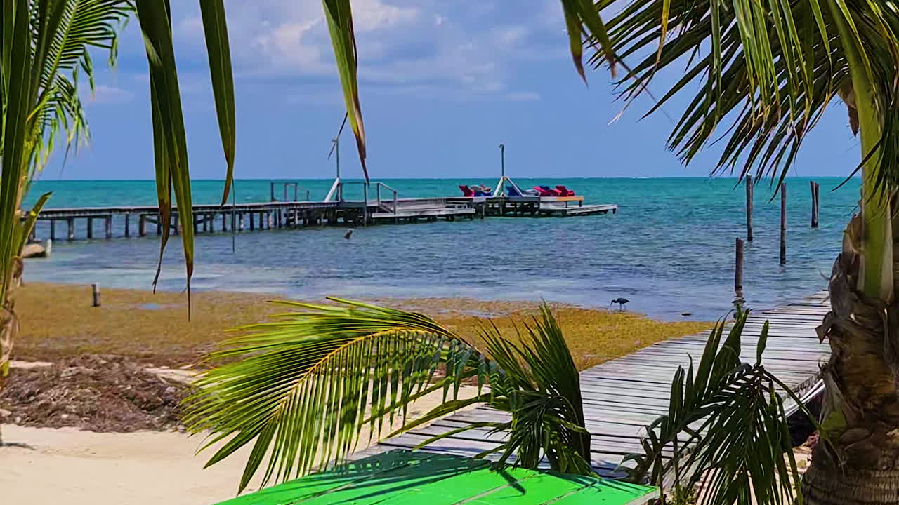 Belize, Central America. Wooden Pier and Beach Full of Seaweed, View From Palm Tree Shade