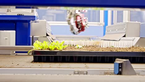 automated planting process using advanced robot for planting leaves in trays