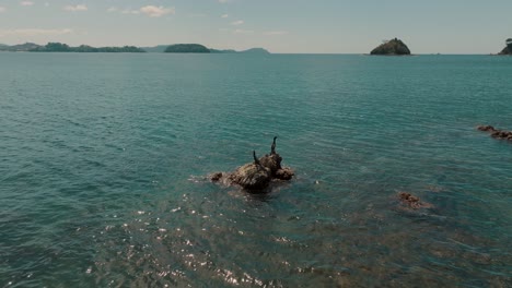 Wasservögel-Sitzen-Auf-Einem-Felsvorsprung-Im-Meer-In-Guanacaste,-Costa-Rica