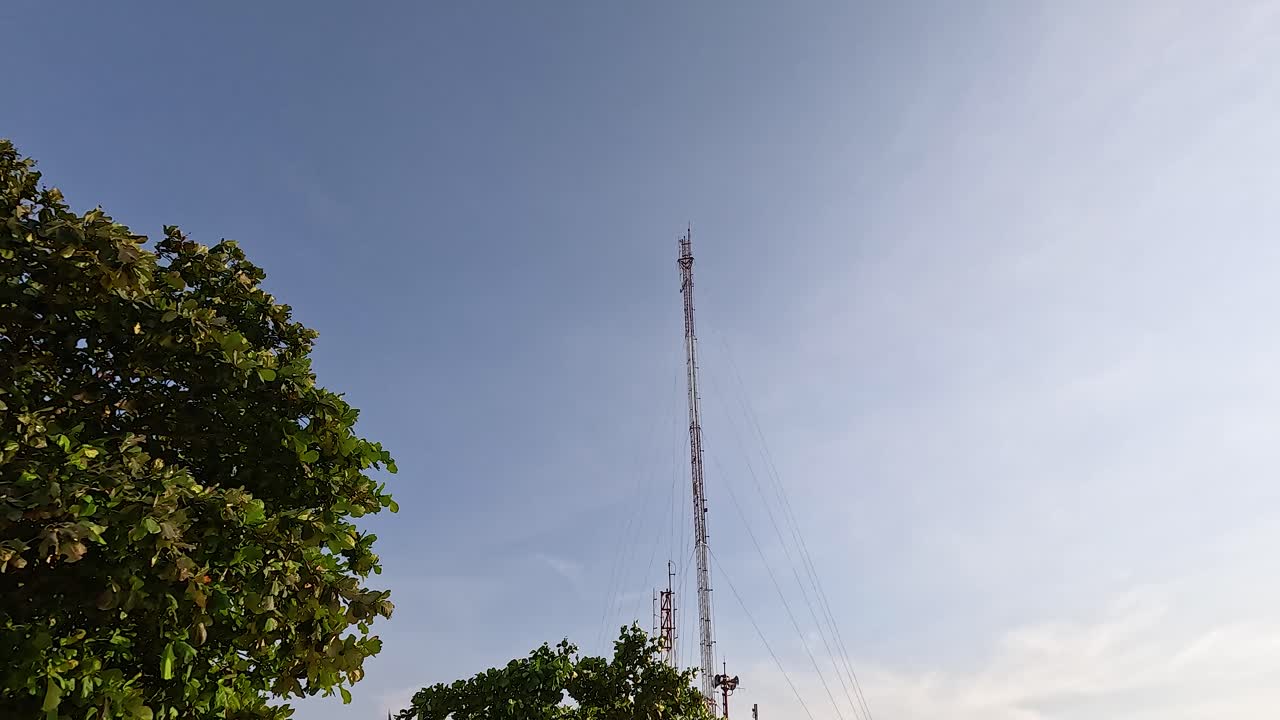 나무 와 높은 탑 이 있는 조용 한 해변