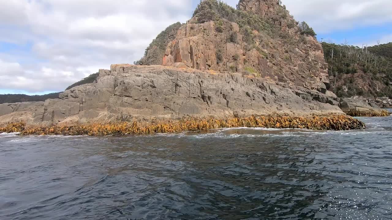 paseo rápido en barco turístico alrededor de la isla de bruny