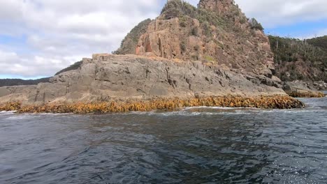 Rápido-Paseo-En-Barco-Turístico-Por-La-Isla-Bruny