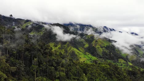 Stunning-rainforest-in-the-Andes-Mountains-of-Colombia-seen-from-above,-4K-drone