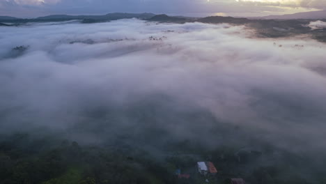 Stunning-winter-fog-in-a-forest-with-mountains-with-the-sun-rising-through-the-clouds