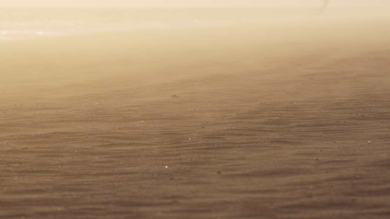 Windswept Beach Sand