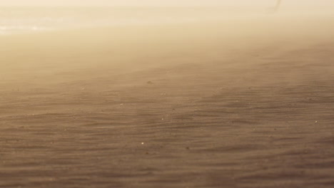 windswept beach sand