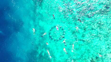 crystal clear waters showing group of people enjoying snorkeling swimming during the summertime - aerial shot