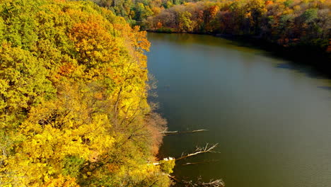 narrow river flowing in the autumn woods. bright tree dressing in the sunny forest. bare tree branches in the water. top view.