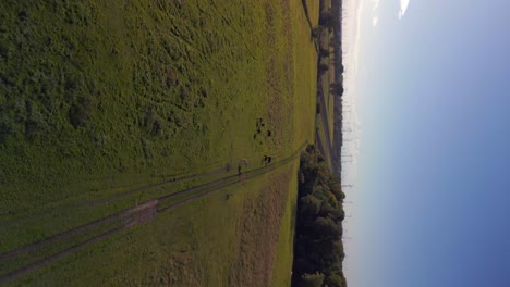 lovely aerial view flight vertical bird's eye view drone
of horses pasture field brandenburg havelland germany at summer sunset 2022