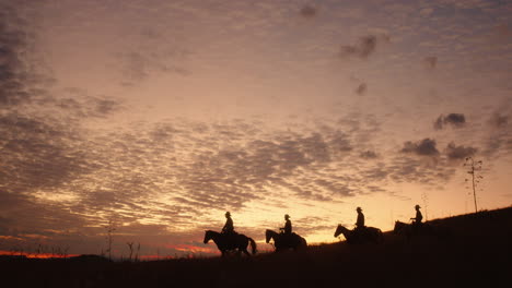 4 cowboys in the early morning light as they ride down a picturesque hill