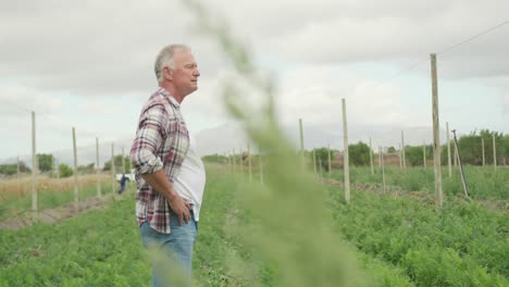 mature man working on farm