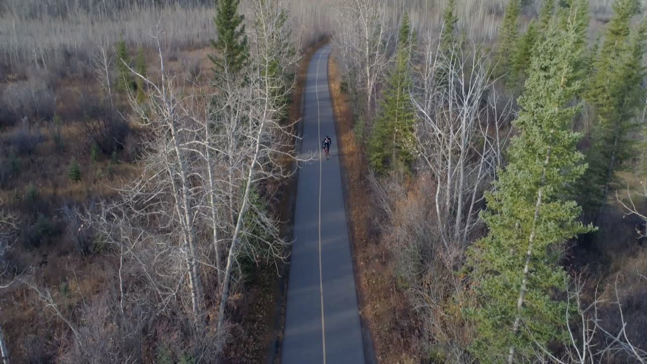 숲 4k의 시골 도로를 통해 자전거 타는 자전거 타기
