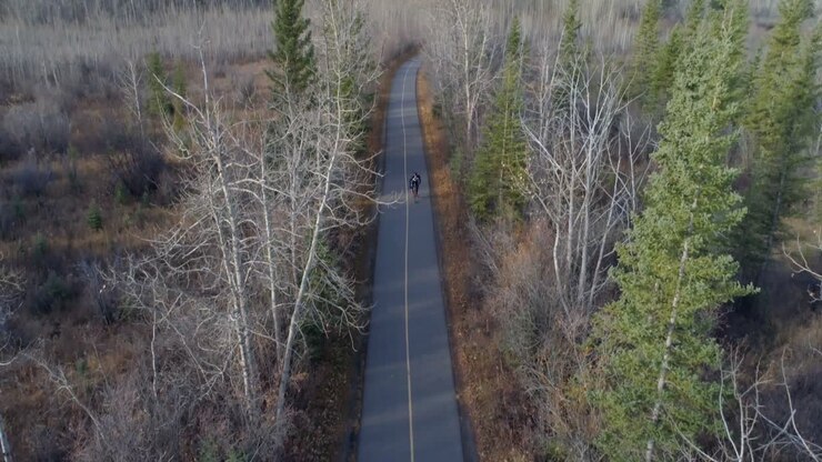 Cyclist cycling through a country road in forest 4k