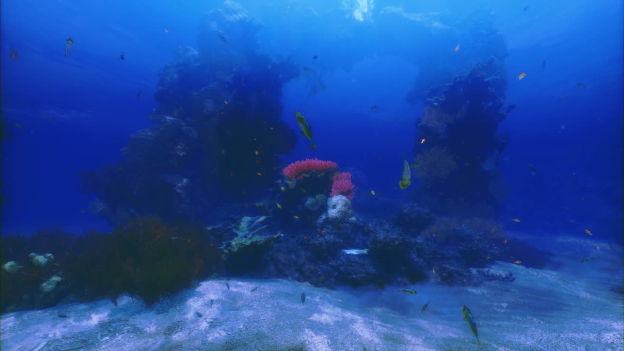 Colorful underwater landscape showcasing marine life in a coral reef