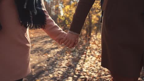 couple hand in hand in autumn park