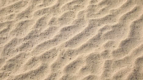 close up of sand lines in arabian desert of kuwait