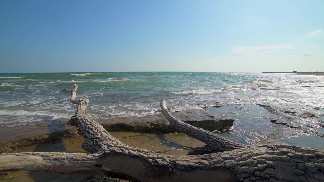 Driftwood on a Rocky Beach with Waves Crashing