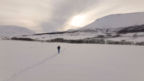 lone man walking on the snow-covered plains of oldervikdalen valley in norway - tracking aerial shot