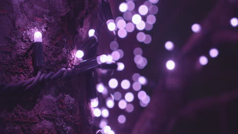 violet led fairy string lights rolled up un the trunk of a tree