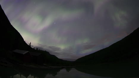 aurora 11