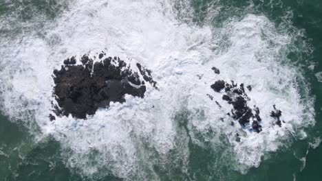 static overhead drone shot of big ocean waves crashing on coral rock