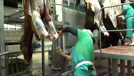 worker skinning horse hung in slaughterhouse