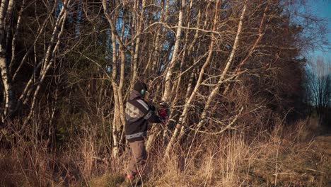 un hombre está empleando una motosierra para cortar una rama de un árbol - toma estática