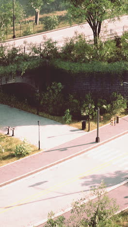 peaceful park path: a summer stroll