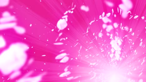 spiral shiny particle of cherry blossoms. sakura pattern. japanese cherry dancing. vortex from pink petals. abstract loop animation.