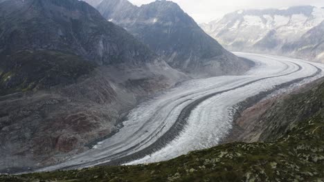 aerial shows aletschglacier and a bird passes by, switzerland