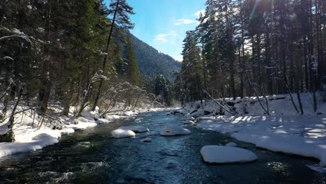 Schöner-Schneeszenenwald-Im-Winter.-Überfliegen-Von-Fluss--Und-Kiefernbäumen,-Die-Mit-Schnee-Bedeckt-Sind.