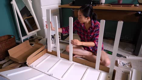 ethnic woman assembling furniture in room with dog