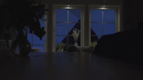 dimly lit interior with silhouetted furniture and plants, stormy night visible outside