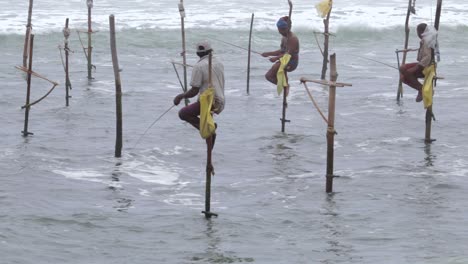 three fishermans in a row fishing at weligama beach scenery, lots of empty stilts in the area.