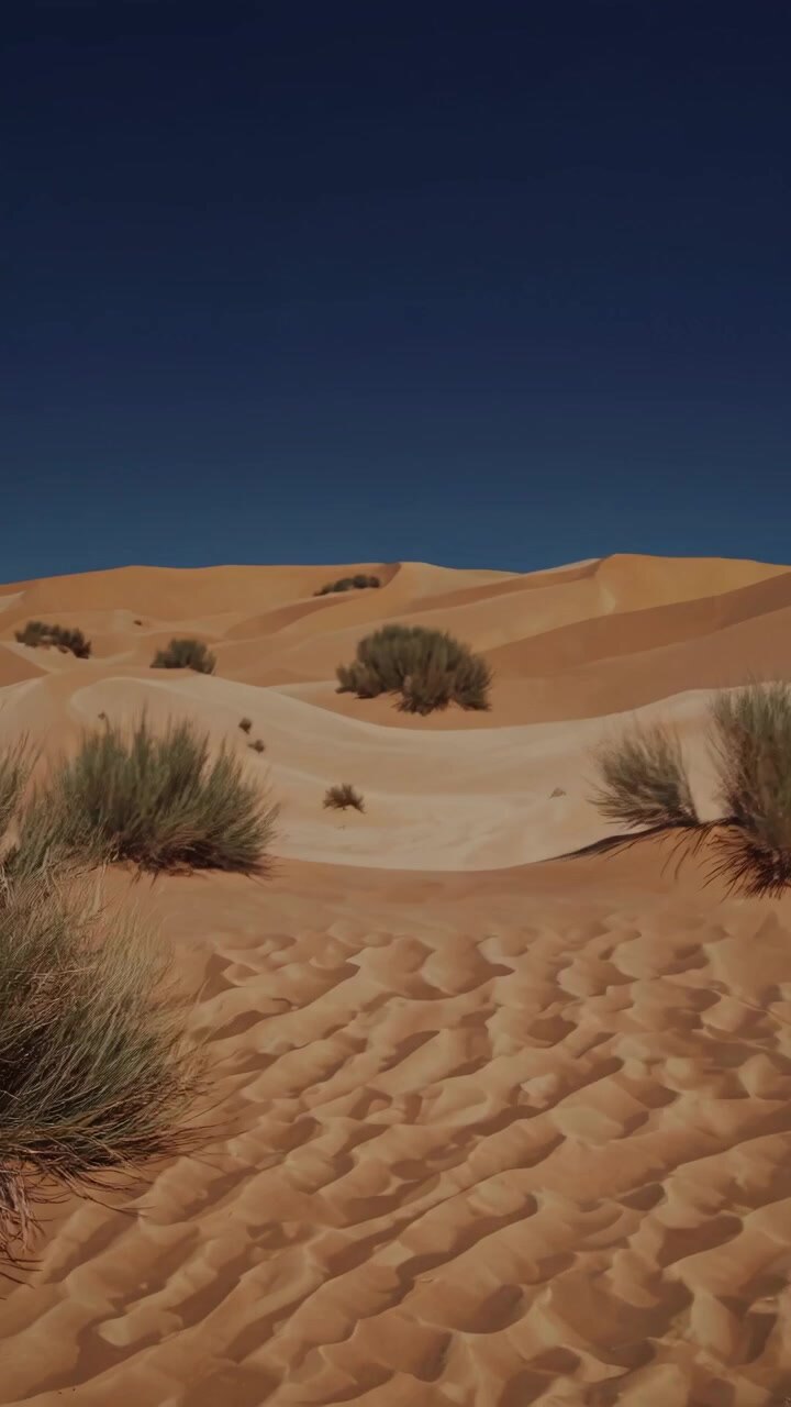 Vista panoramica di vaste dune di sabbia nel deserto