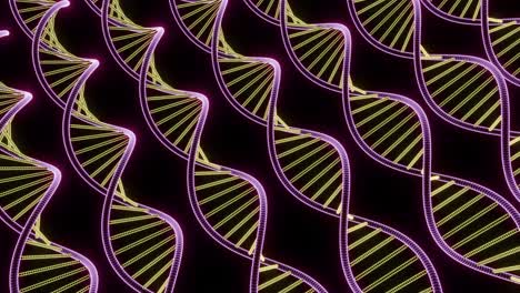 3d model of a dna double helix