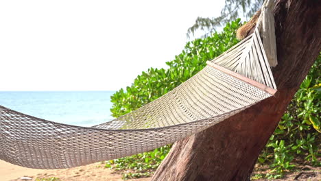 Hängematte-Zwischen-Bäumen-An-Einem-Tropischen-Strand