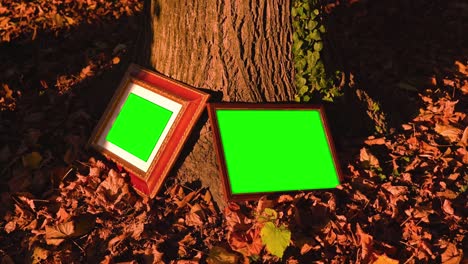 wooden photo frames with chromakey leaning on tree trunk