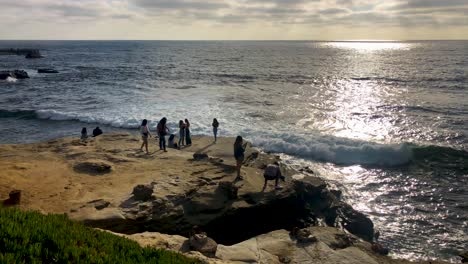 people enjoy a beautiful sunset amongst seals