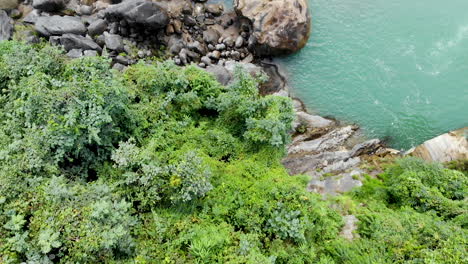 aerial footage of river bank covered with overgrown lush green plants and rocks in the mountains