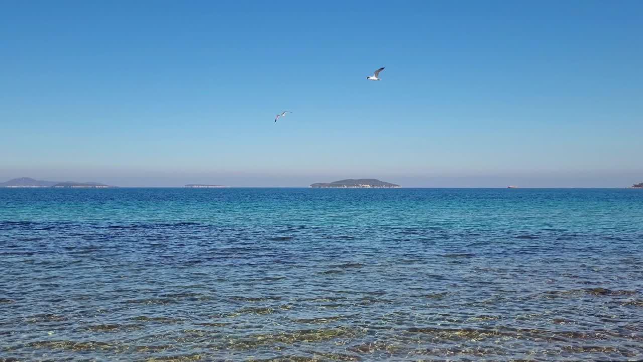 깊은 파란 바다와 날아다니는 해파리