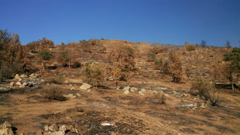 a hillside in the red mountain range destroyed by a wildfire - aerial push forward