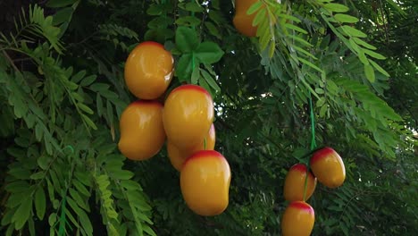 Ruhige-Aufnahme-Von-Künstlichen-Plastikmangos,-Die-Am-Baum-Dekoriert-Sind,-Um-Für-Die-Mangosaison-Zu-Werben