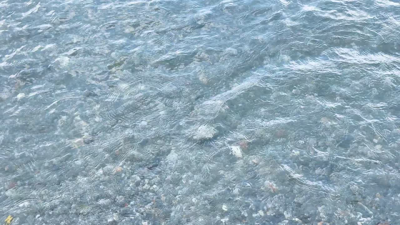 A rock is thrown into calm lake water, creating ripples and splashes in daylight