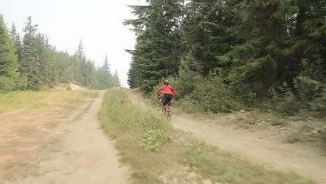 mountain bike rider riding along trail in the bike park