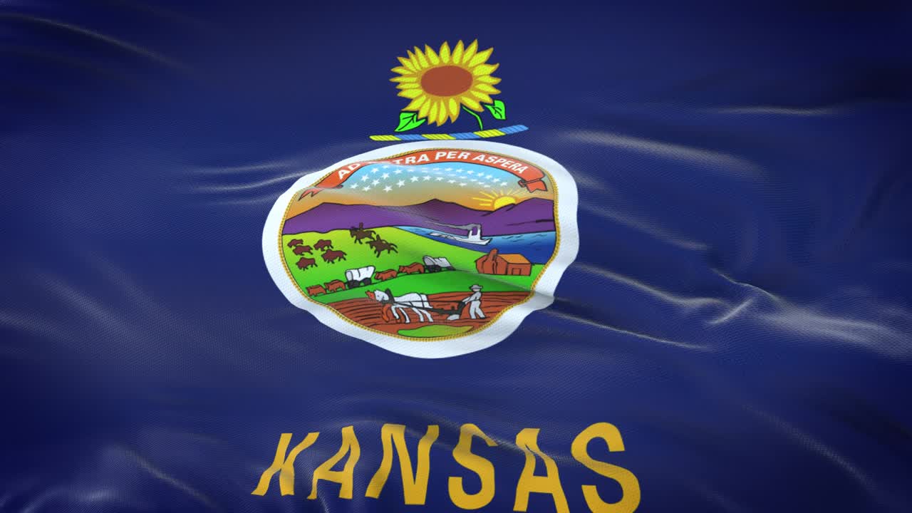 캔자스 (미국) 발이 바람에 흔들리는 매우 상세한 직물 질감.