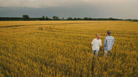 Two-Farmers-Stand-In-A-Field-Of-Wheat-Against-A-Stormy-Sky-Where-Lightning-Is-Visible