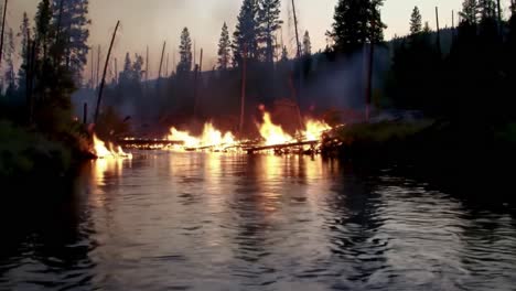 a dramatic scene of wildfire erupting across a riverbank surrounded by towering trees, highlighting the intensity of nature's fury and its impact on the environment