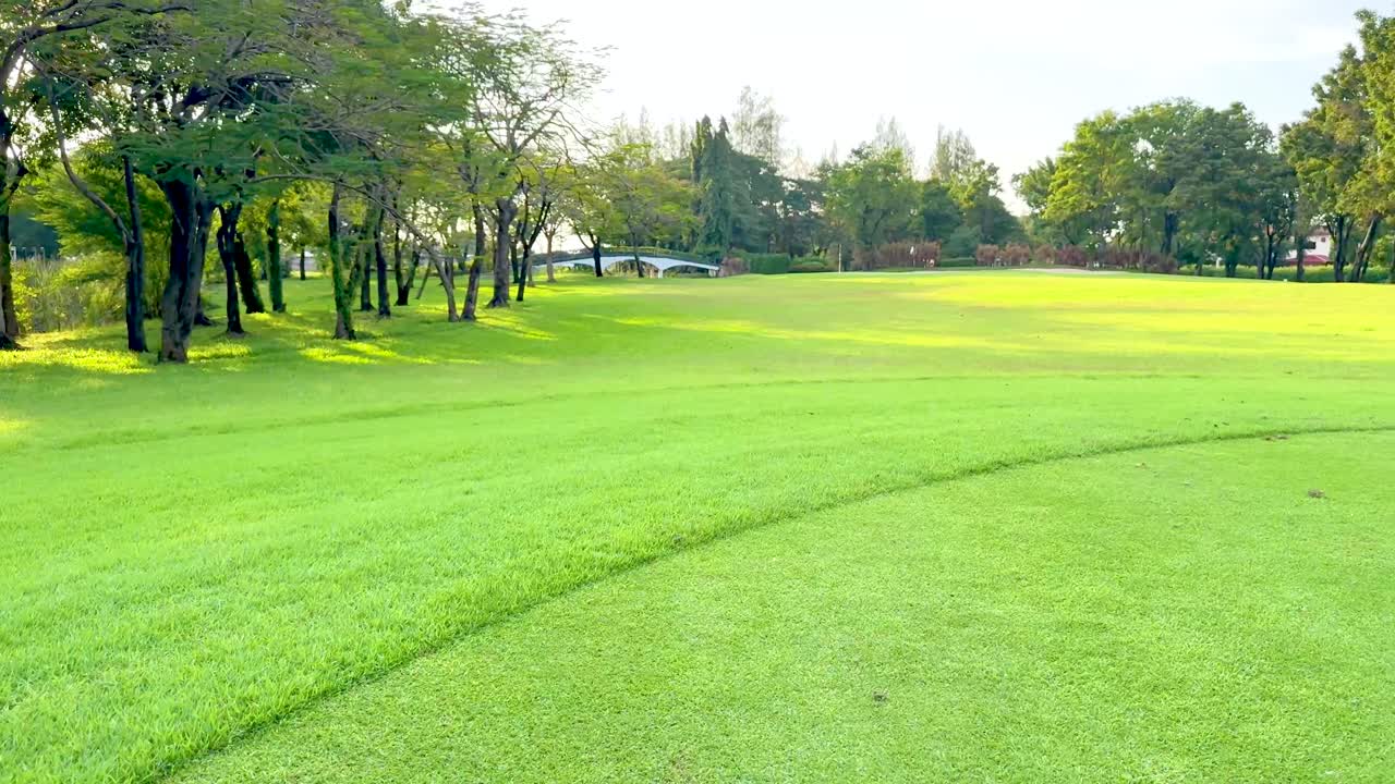 거리 표시가 있는 울창한 녹색 페어웨이